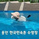 한국민속촌수영장 이미지