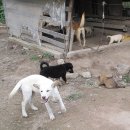 평화로3