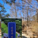 정릉80 | 설연휴 가볼만한 곳 강남도심속 쉼터_선정릉(선릉과 정릉)