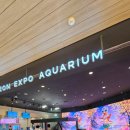 글로벌사이언스 | 대전전시 실내데이트추천 대전엑스포아쿠아리움 '글로벌ESG수중사진전' 후기