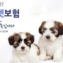 미리내동물병원 이미지