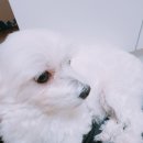 다이소김포