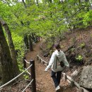청계사 입구 | 청계산 사람 없는 등산코스 추천♡ 원터골-매봉-이수봉-청계사 코스