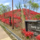 미사한강3호공원 이미지