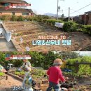 마마 이미지