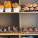 관-비-3-3 이미지