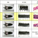 열에아홉미용실 네이버블로그