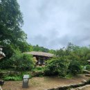 녹차밭 무인호텔 | 강진 가볼만한곳 다원 녹차밭 여행 후기