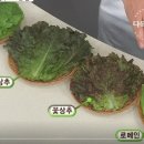 초록식탁 이미지