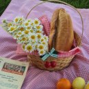 도개다곡길 이미지