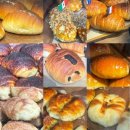 빵소리 | 소리까지 맛있는 소금빵 시오팡야 광화문D타워점 후기