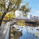 힐링타운 이미지