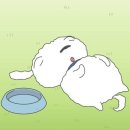 명륜진사갈비(남동구청역점) | 명륜진사갈비 :: 인천 남동구청역점 인천 고기 무한리필 인천 장어 맛집 남동구 회식 장소 추천 민생...