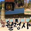 늦가을 오대산 월정사 단풍풍경,전나무숲길 - 수산물전문가 꼼꼼후기