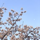 로인스튜디오