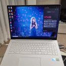 2025년 그램 프로 17 (17ZD90TR) rtx4050 외장그래픽 사용 후기