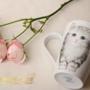 {부산포슬린 아트스쿨 KPAS 안락점}_사랑스런 고양이 야옹