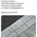 와 인간들 양아치다 이미지