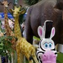 에코토이 이미지