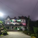 터 애견펜션 이미지