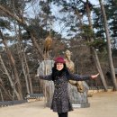 제일 무도학원 이미지