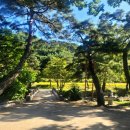 초간정화장실 이미지