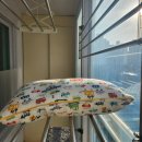 꽃순이네 | 아이 비염예방 편백오일 꽃순이 편백 후기