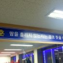 YM복싱클럽 이미지