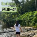 현대낚시터 | 인천 근교 강화도 계곡 현대농원 펜션 식당 내돈내산후기