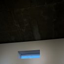 박물관옆미술관 이미지