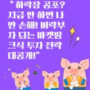 핑크마켓 티스토리
