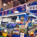 삼일수산활어회