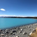 선한목자교회 이미지