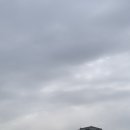 시아네집 민박 | [ 제주 시아네집 한달살기 ] 애월읍 한달살기 숙소 제주 숙소 새별오름, 까메까메까망이