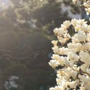 트윈세탁소 이미지