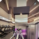 에스휘트니스 이미지