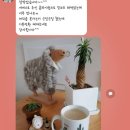 이로운수제청 | [이로운수제청] 창원수제청 / 마산수제청 / 후기는 사랑입니다♡