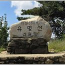 2026.9.19 제205차 유명산(863m), 50,000원 (추석연휴로 일정 조정) 이미지
