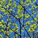 무주 오락 이미지