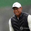 넥서스 골프연습장 이미지