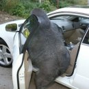 (주)만재 이미지