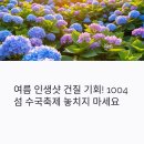 전남 신안 도초도 1004섬 수국축제 완벽 가이드