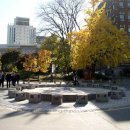 덕수궁 애 이미지