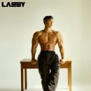 미녀와 야수짐 이미지