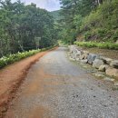 황매산등산로 이미지