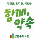 단짝멍몽 | 반려동물 여행 준비 체크 리스트! 숙소부터 펫시터까지 총정리