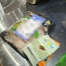 나선장 | 회 안좋아하는 나도 반하게 된 노량진 손선장 숙성회 노량진 횟집으로 추천 후기
