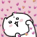 7월 3주차 ~(˘▾˘~) (~˘▾˘)~ 여름조각들
