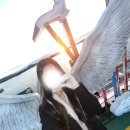 W.S.P house | 2025 My favorite item <3