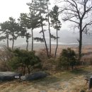 Lee's 이미지